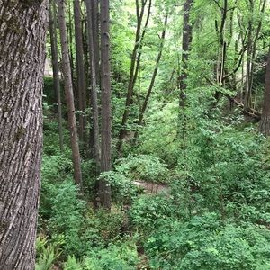 Meet your Posher, Ava